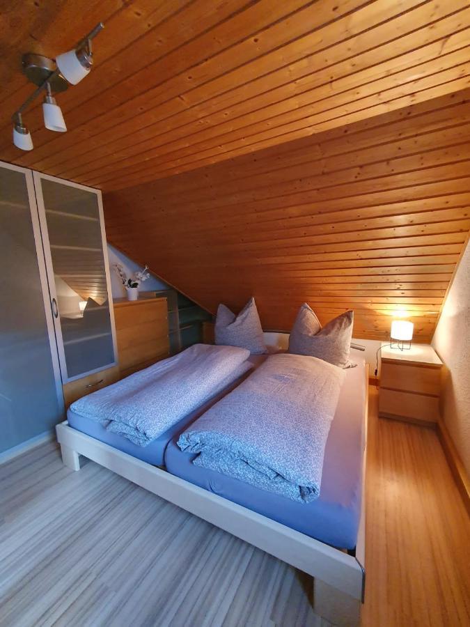 Ferienwohnung Haenel Antonshohe المظهر الخارجي الصورة